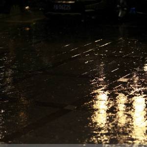 嫩草影院发布页
